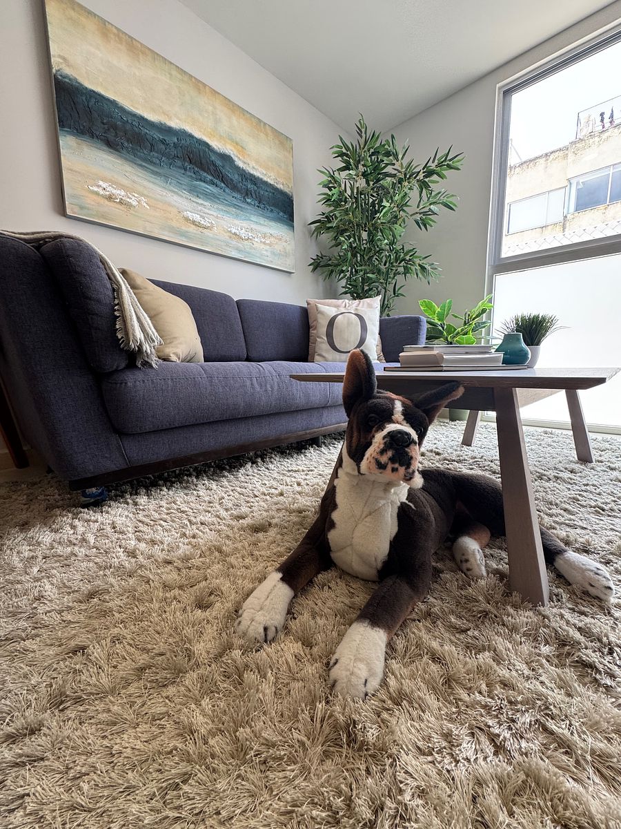 Precioso, novo e ÚLTIMO PH conectado ao apartamento em Benito Juarez, foto 1 de 16