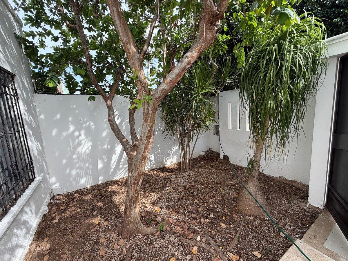 Casa em Francisco de Montejo, Mérida, foto 17 de 26