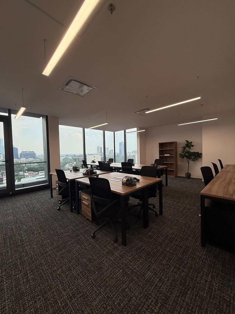 Office in Los Alpes, Álvaro Obregón, photo 9 of 22