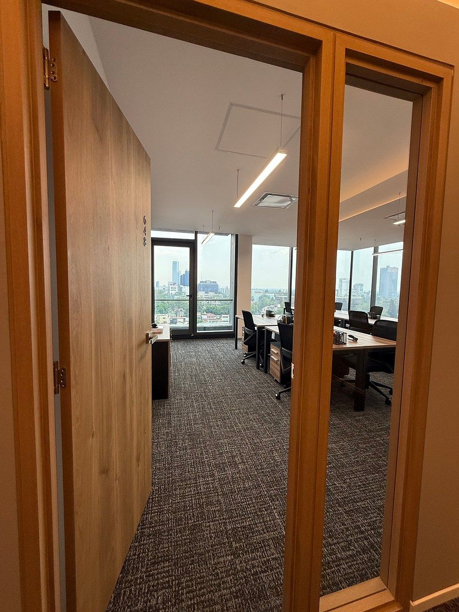 Office in Los Alpes, Álvaro Obregón, photo 10 of 22