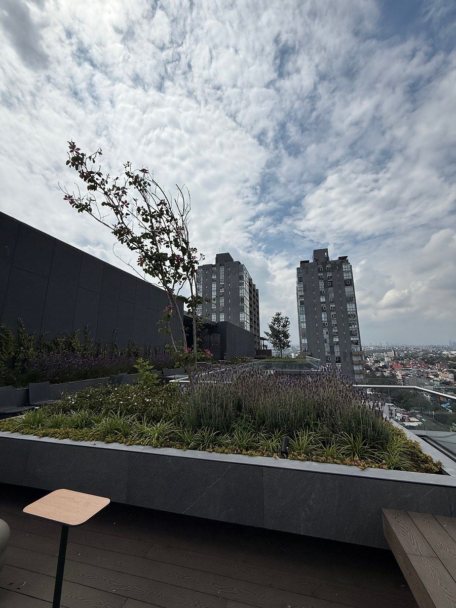 Office in Los Alpes, Álvaro Obregón, photo 19 of 22