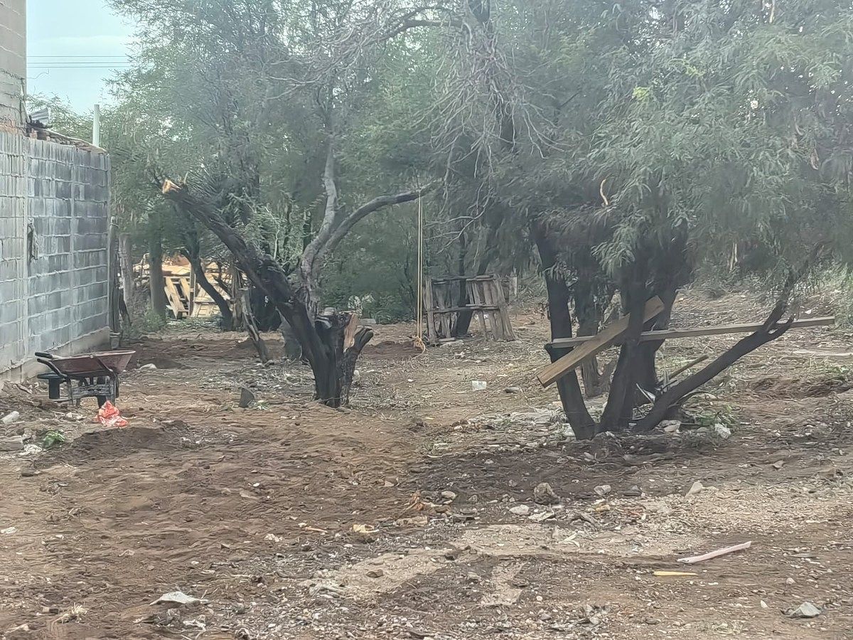 Terreno à Venda na La Florida (Município Cerro San Pedro), S.L.P., foto 1 de 1