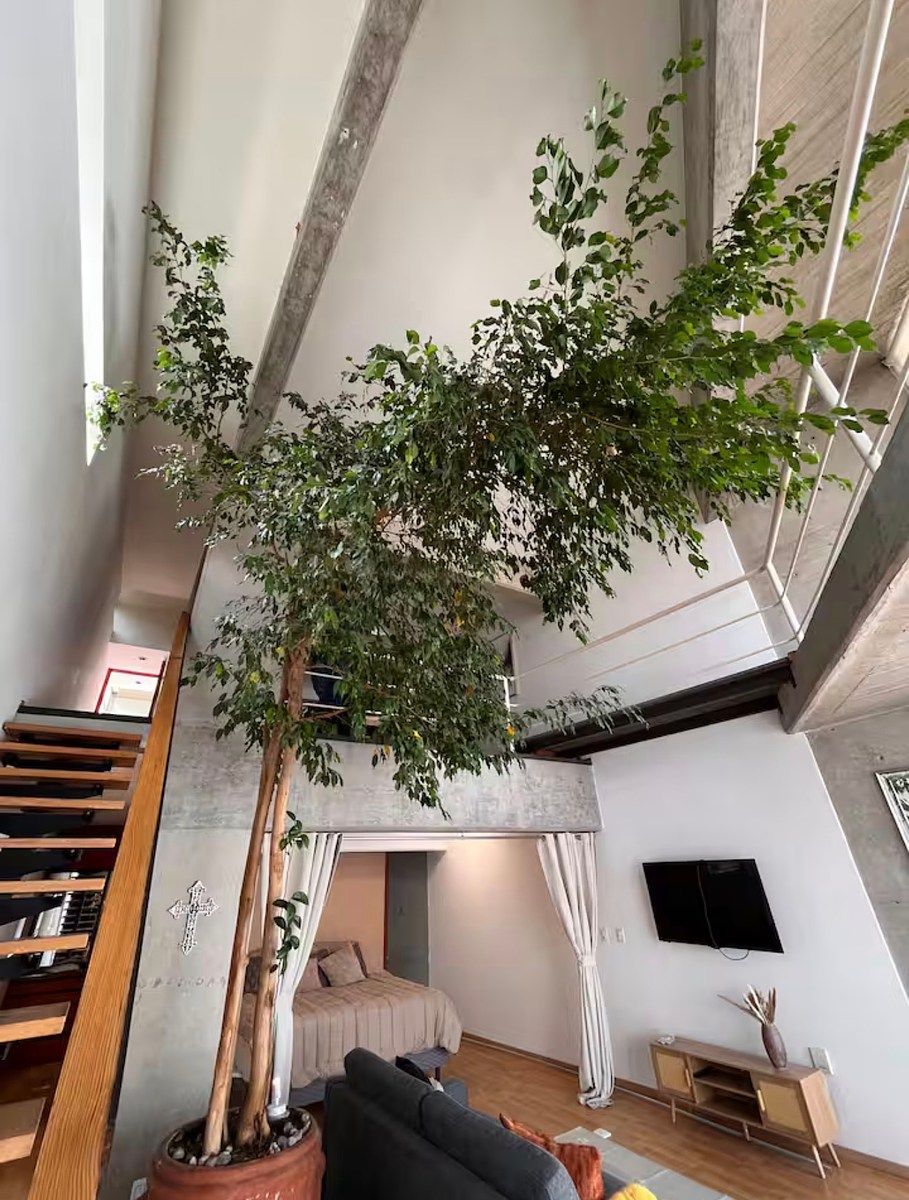 Loft moderno de dupla altura para alugar na Cidade dos Esportes, foto 1 de 20
