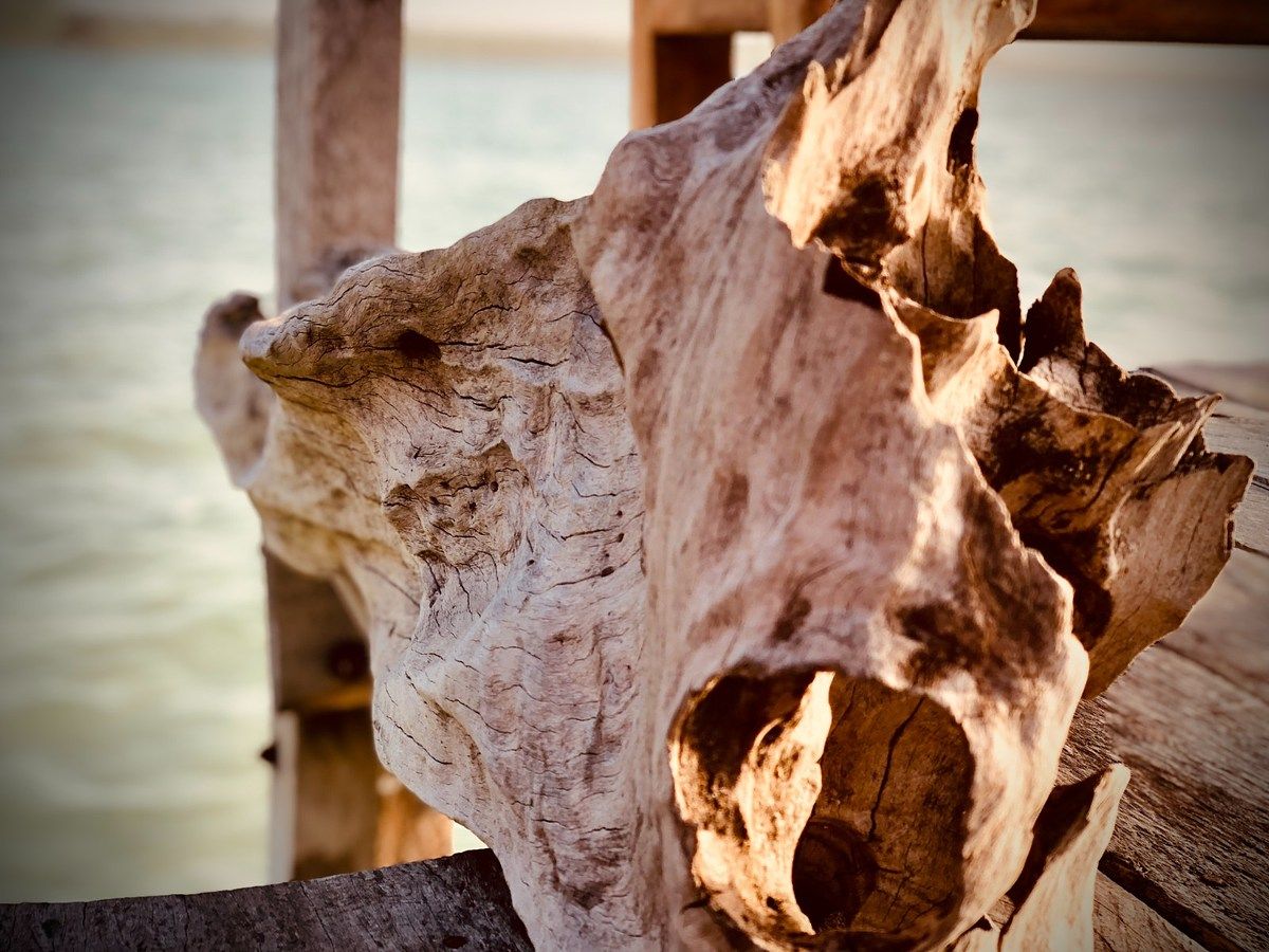 Lote em Bacalar, Bacalar, foto 7 de 51