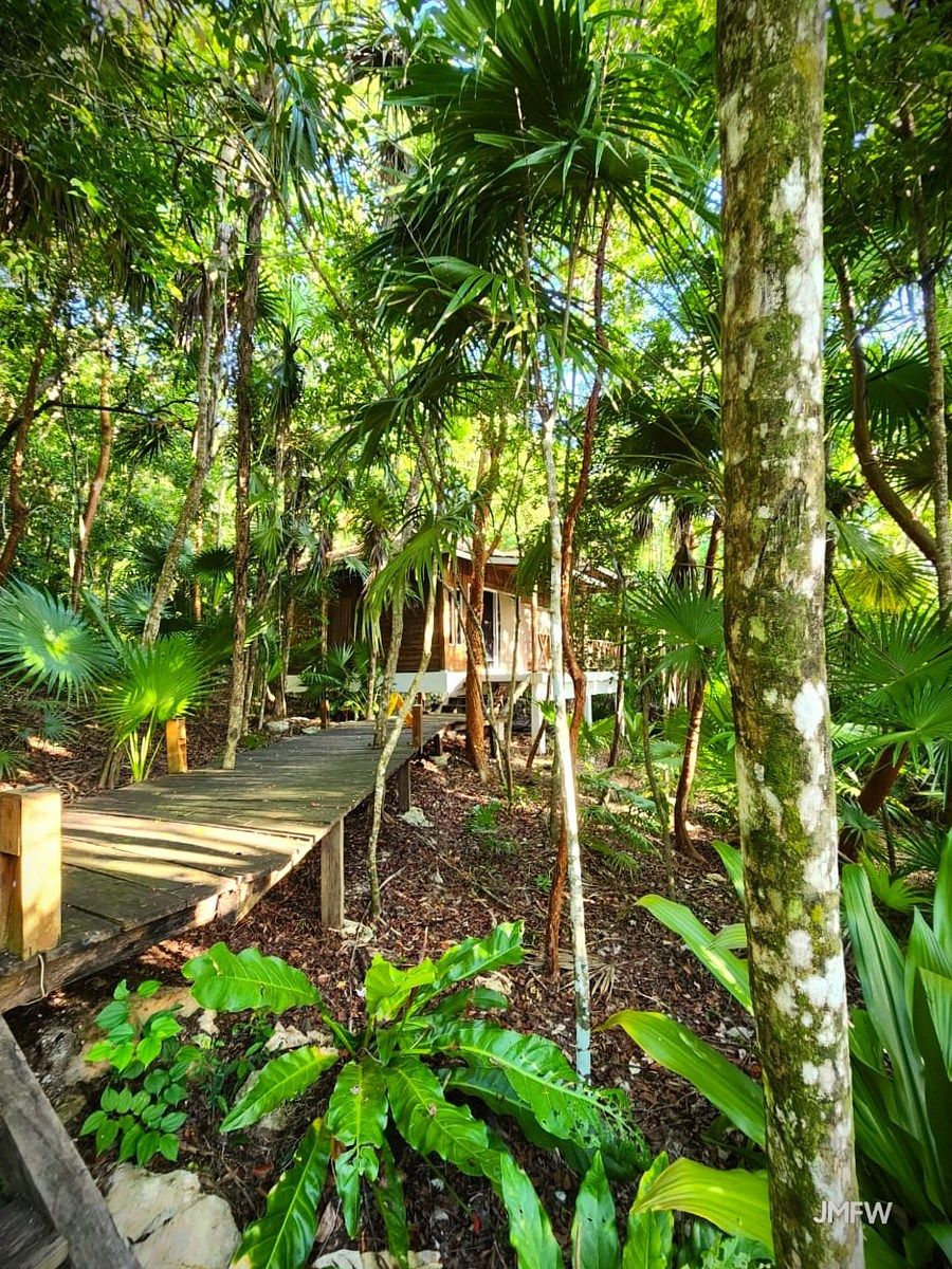 Lote em Bacalar, Bacalar, foto 25 de 51