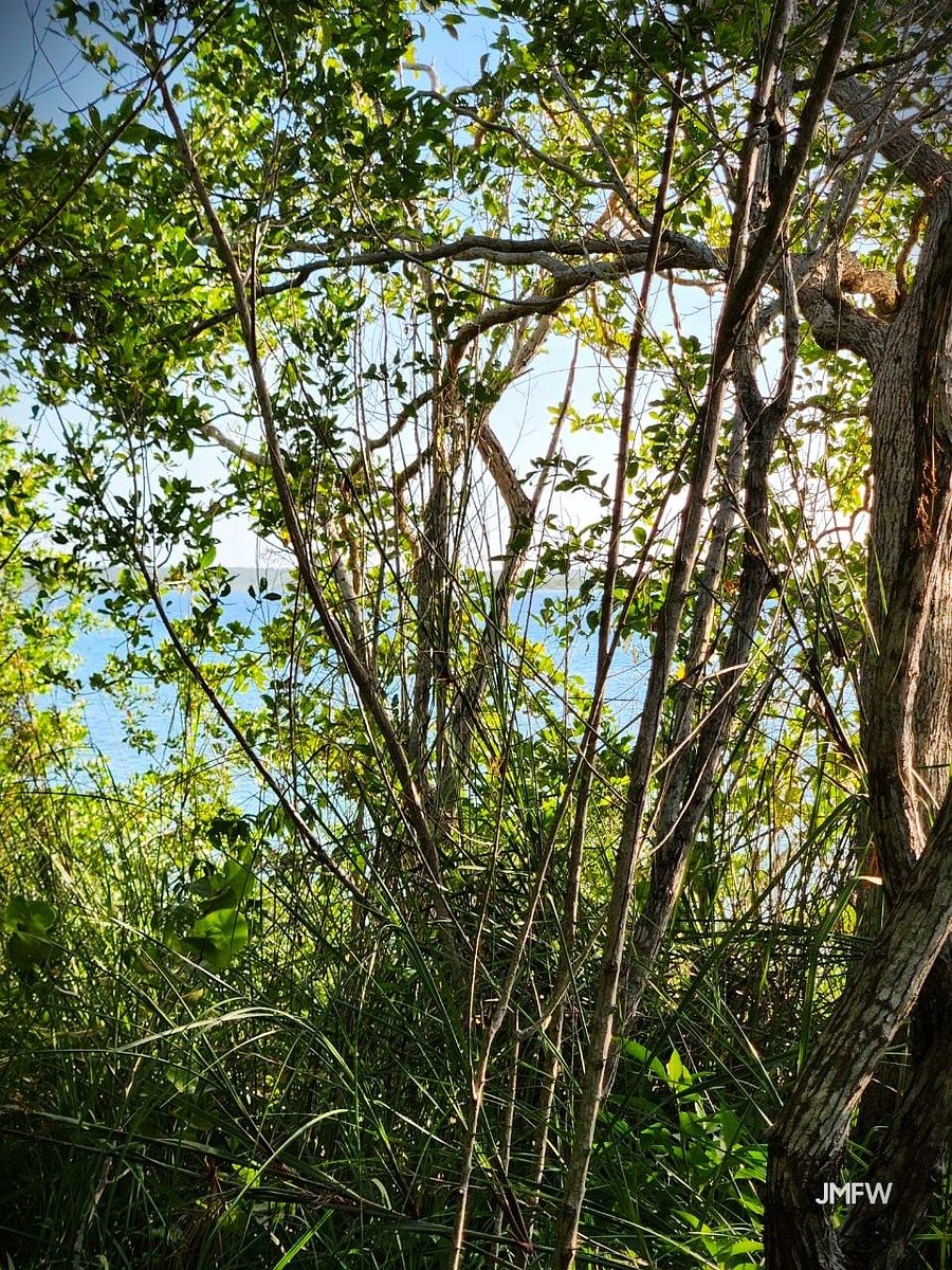 Lote em Bacalar, Bacalar, foto 26 de 51