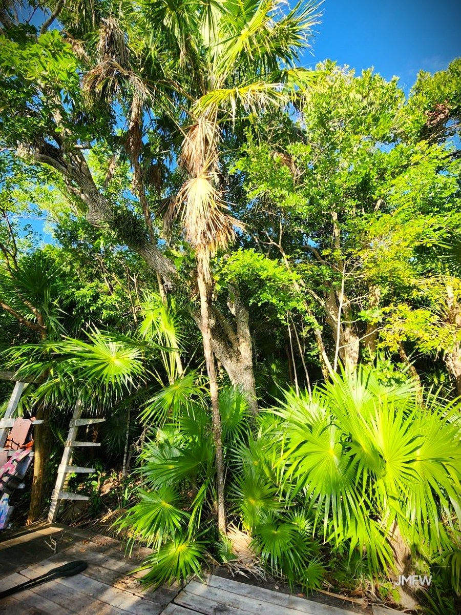 Lote em Bacalar, Bacalar, foto 28 de 51