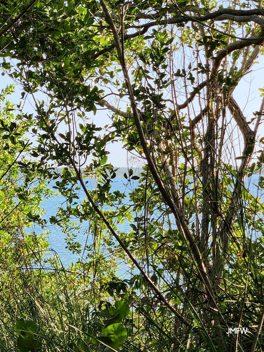 Lote em Bacalar, Bacalar, foto 29 de 51