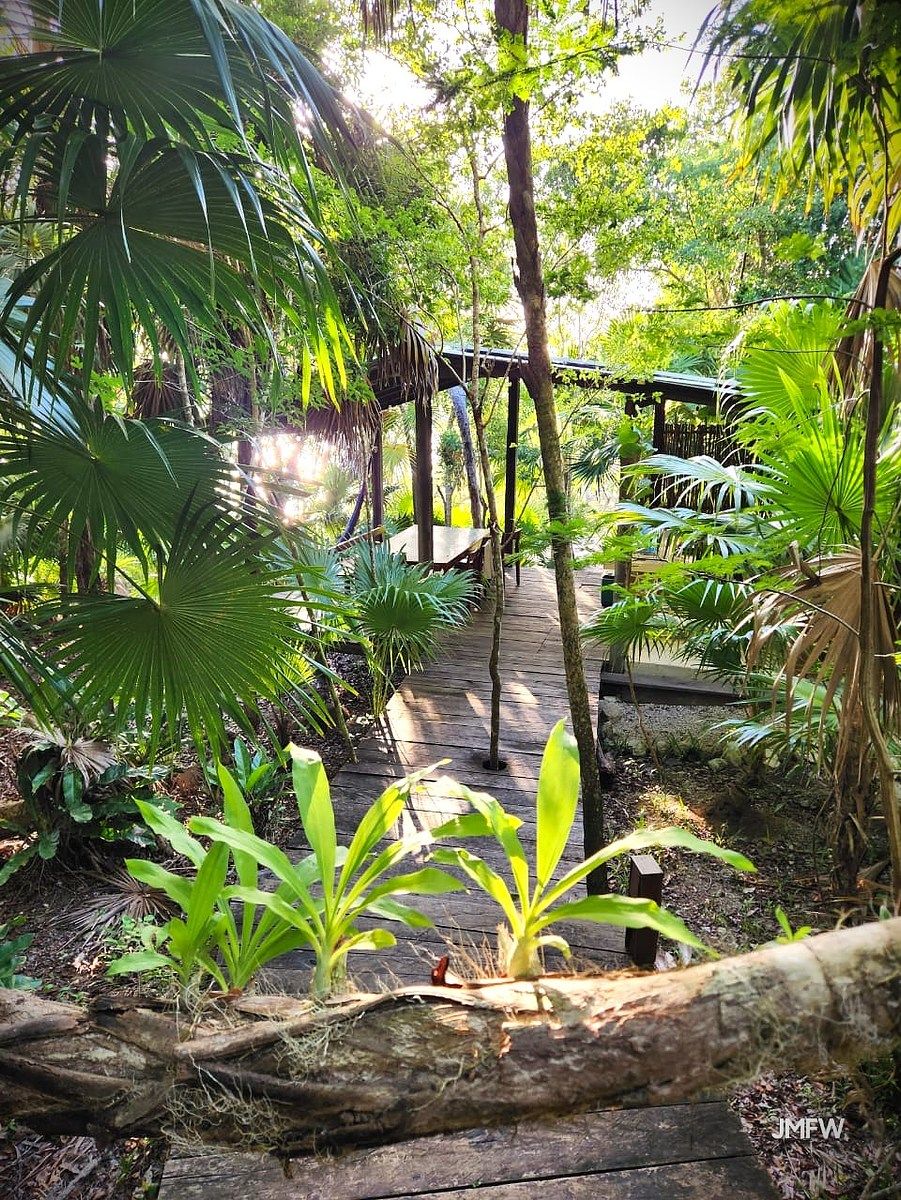 Lote em Bacalar, Bacalar, foto 30 de 51