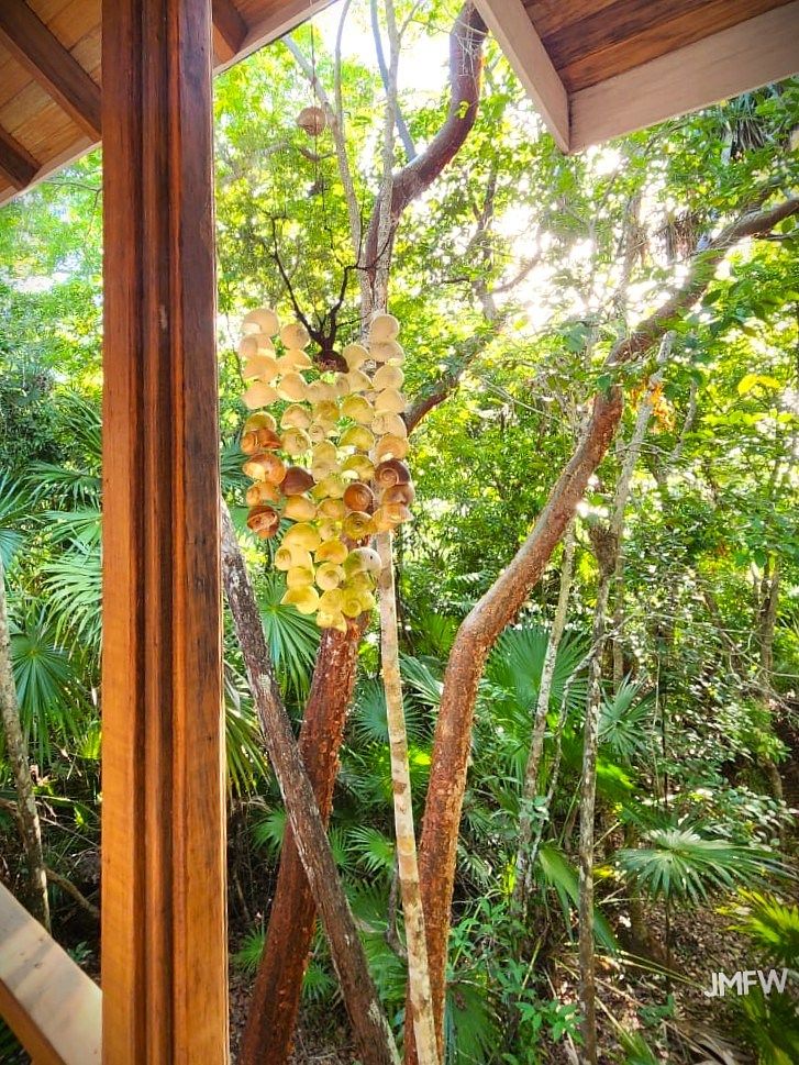 Lote em Bacalar, Bacalar, foto 31 de 51