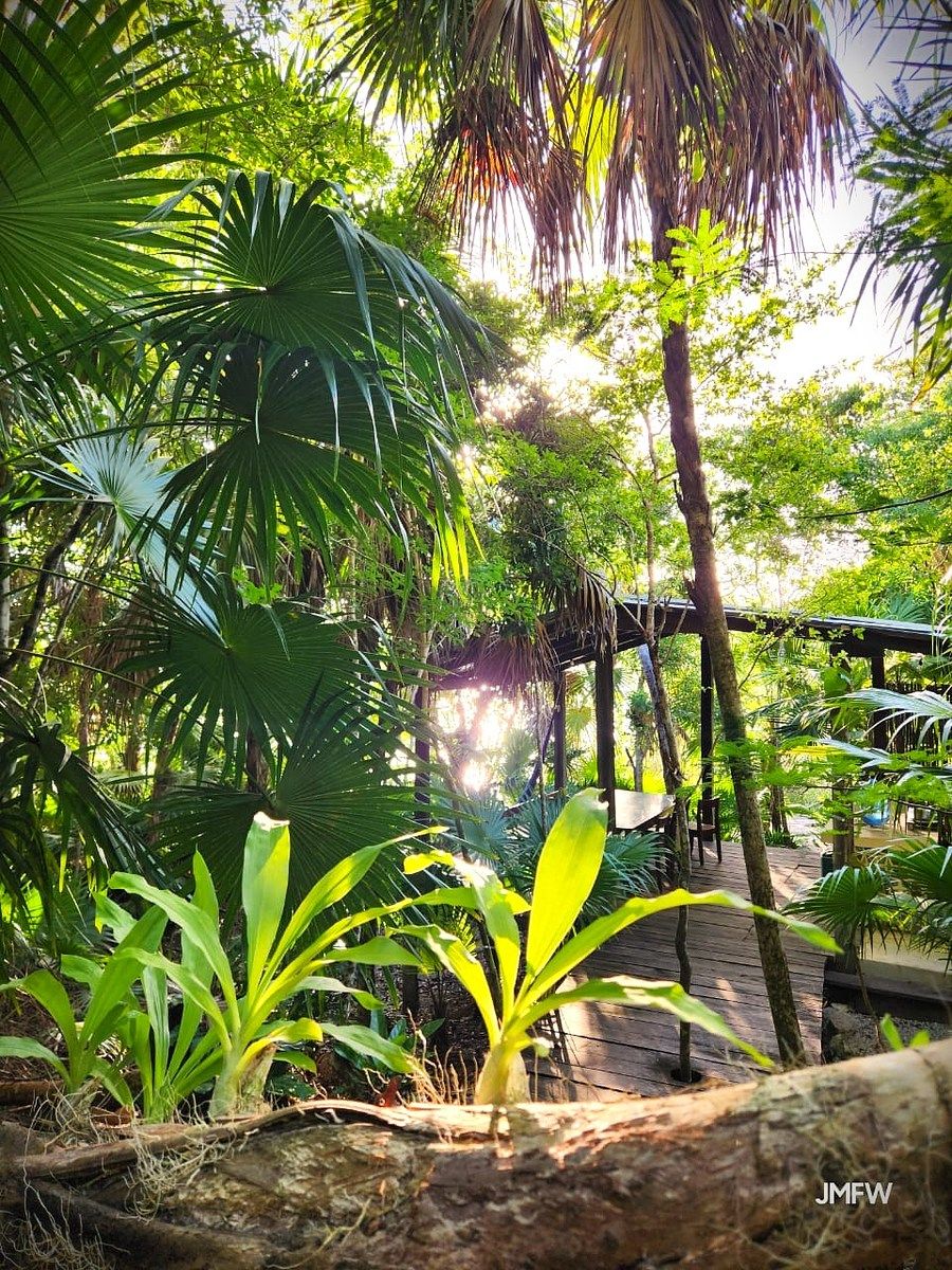 Lote em Bacalar, Bacalar, foto 36 de 51