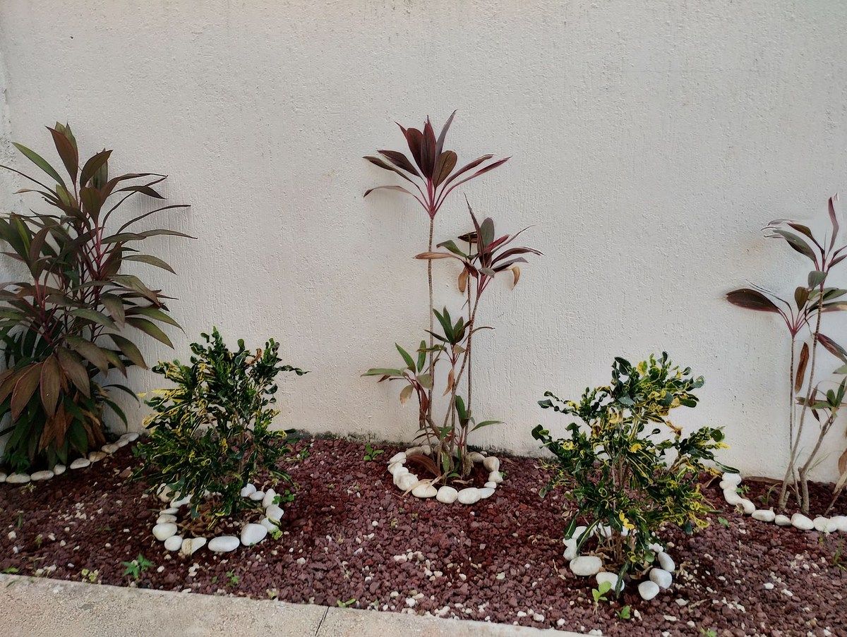 Casa em Arbolada, Benito Juárez, foto 5 de 15