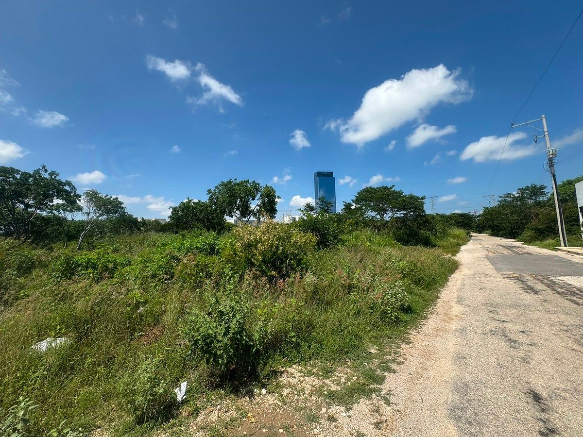 Lote em Temozón Norte, Mérida, foto 3 de 11