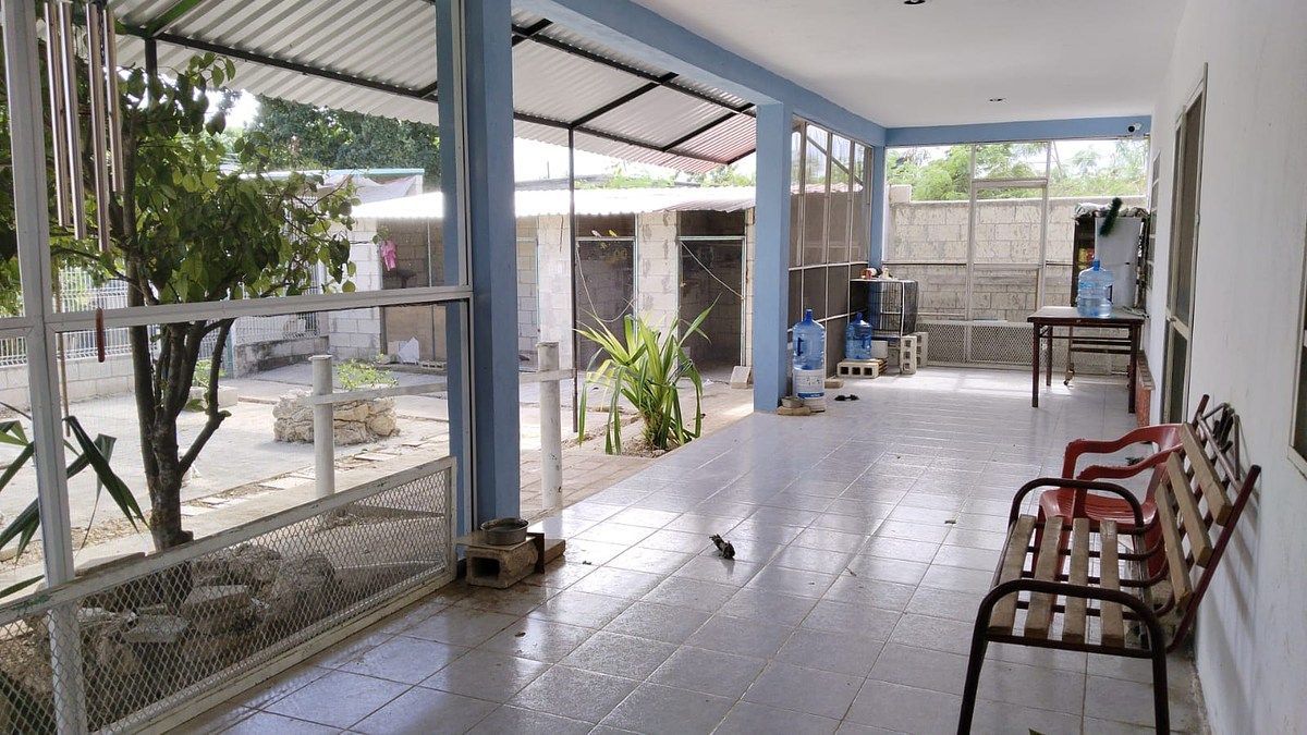 House in Ucu, Ucú, photo 5 of 26