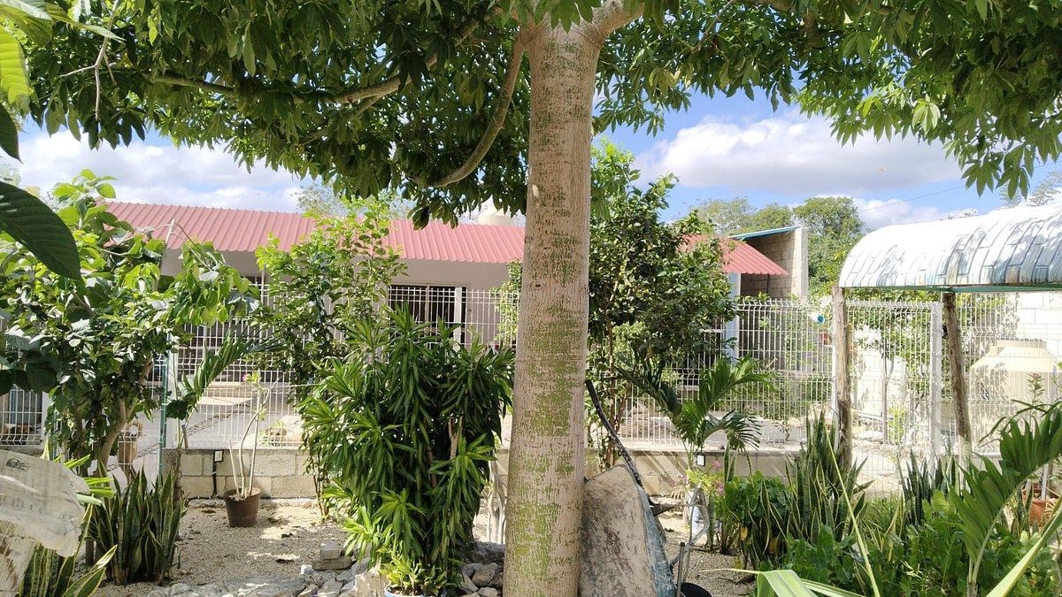 House in Ucu, Ucú, photo 21 of 26