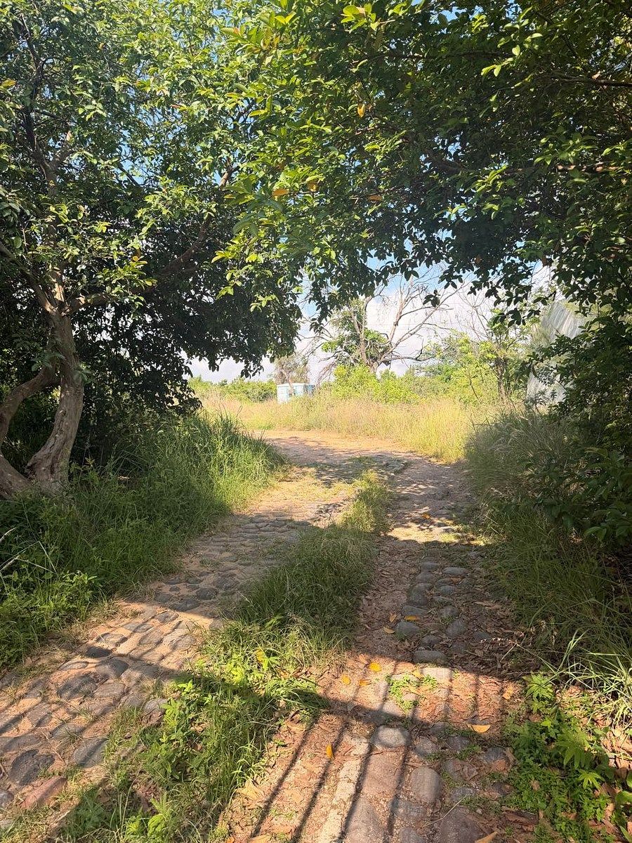 Lote comercial em Bosques Del Centinela I, Zapopan, foto 3 de 7