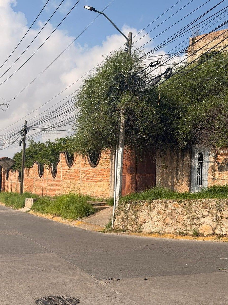 Lote comercial em Bosques Del Centinela I, Zapopan, foto 2 de 7