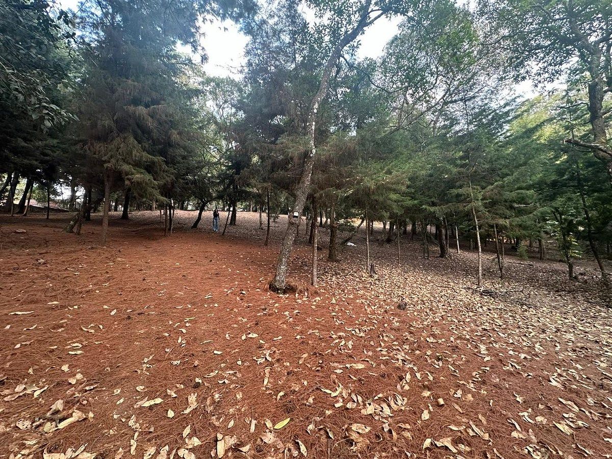 Condominio Las Tinajas | Terreno en Venta de 4,021.17 vrs² - Image 3
