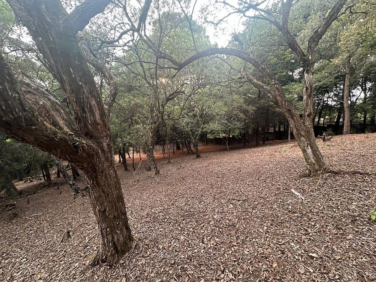 Condominio Las Tinajas | Terreno en Venta de 4,021.17 vrs² - Image 5