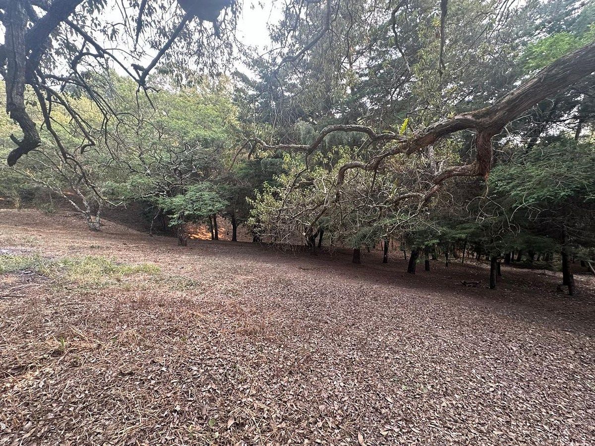 Terreno en Santa Catarina Pinula, foto 6 de 10