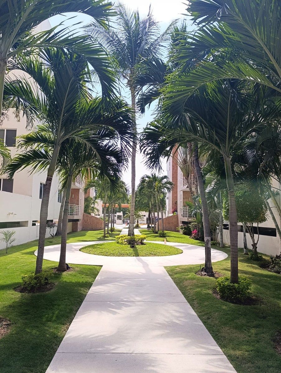 Apartamento em Supermanzana 17, Benito Juárez, foto 4 de 25