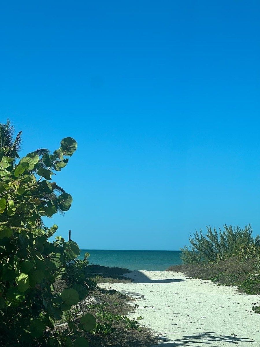Terreno en Chicxulub Puerto, Progreso, foto 7 de 12