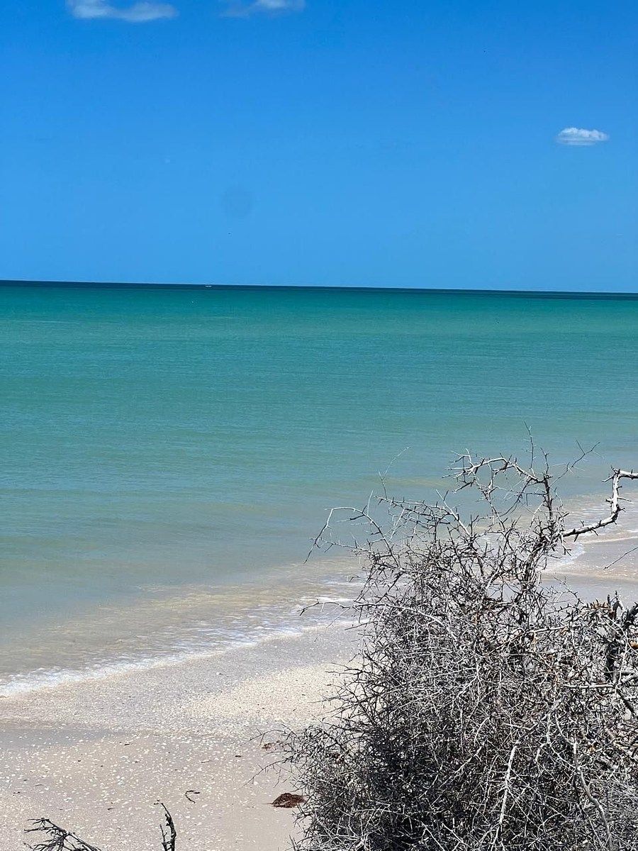 Terreno en Chicxulub Puerto, Progreso, foto 9 de 12