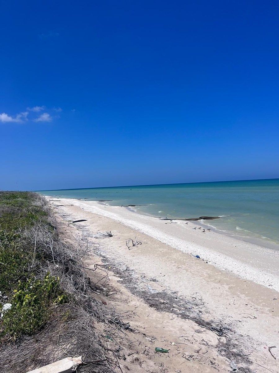 Terreno en Chicxulub Puerto, Progreso, foto 10 de 12