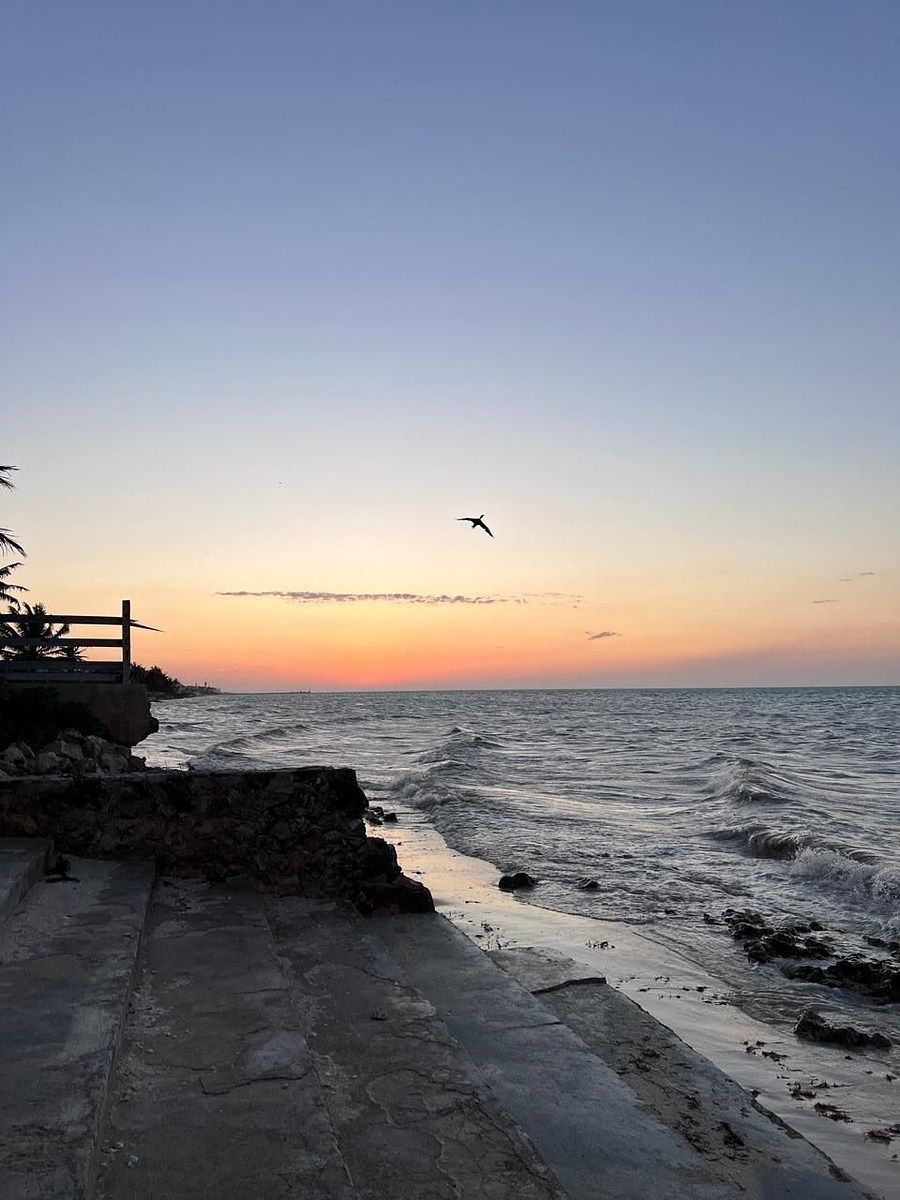 Terreno en Chicxulub Puerto, Progreso, foto 12 de 12