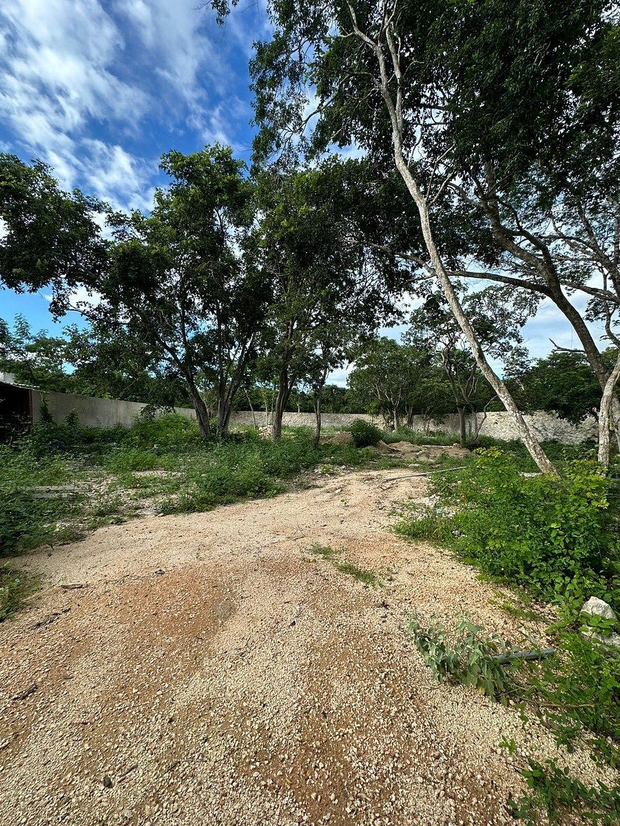 Terreno de 1.531 m2 à venda em Temozón Norte, foto 1 de 11