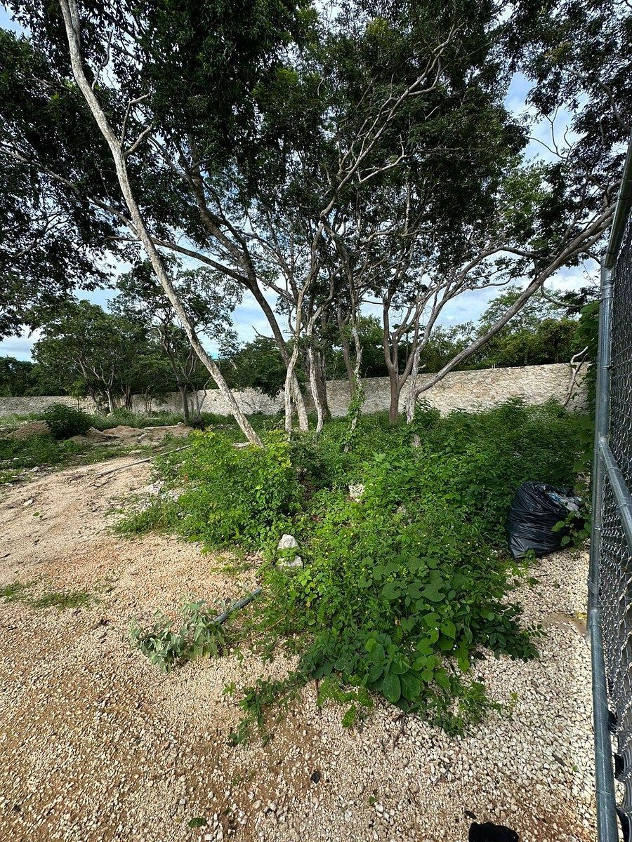 Lote em Temozón Norte, Mérida, foto 2 de 11