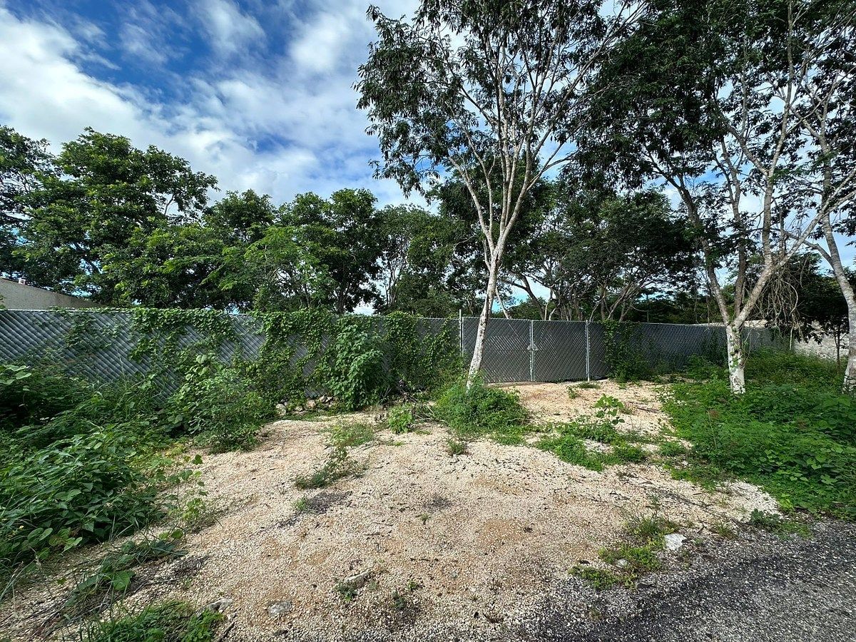 Lote em Temozón Norte, Mérida, foto 4 de 11