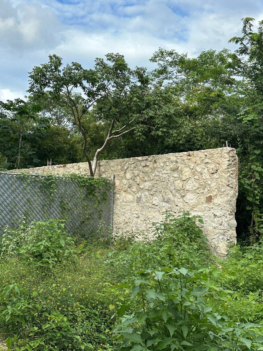 Lote em Temozón Norte, Mérida, foto 6 de 11