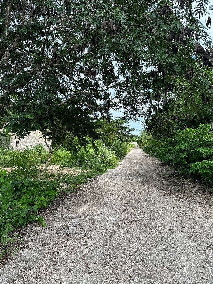 Lote em Temozón Norte, Mérida, foto 7 de 11