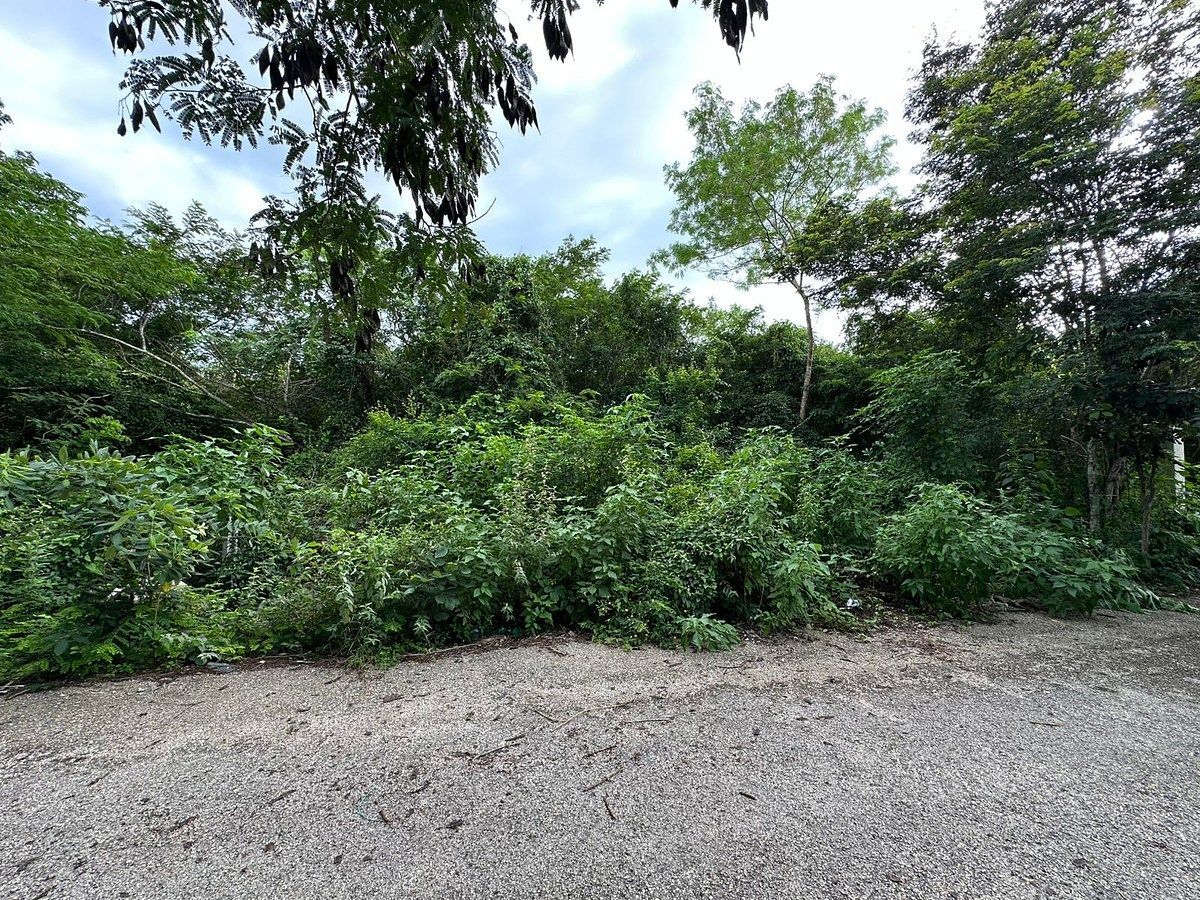 Lote em Temozón Norte, Mérida, foto 8 de 11