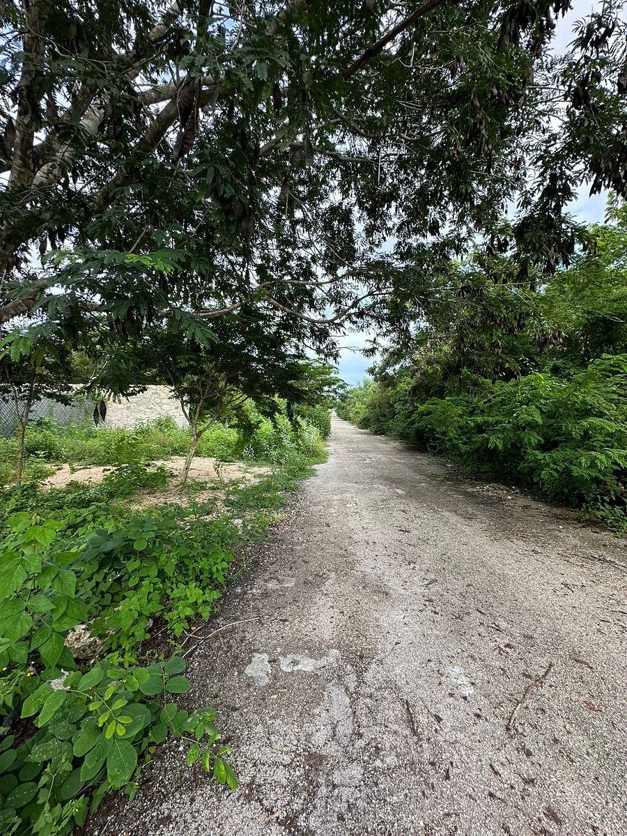 Lote em Temozón Norte, Mérida, foto 10 de 11