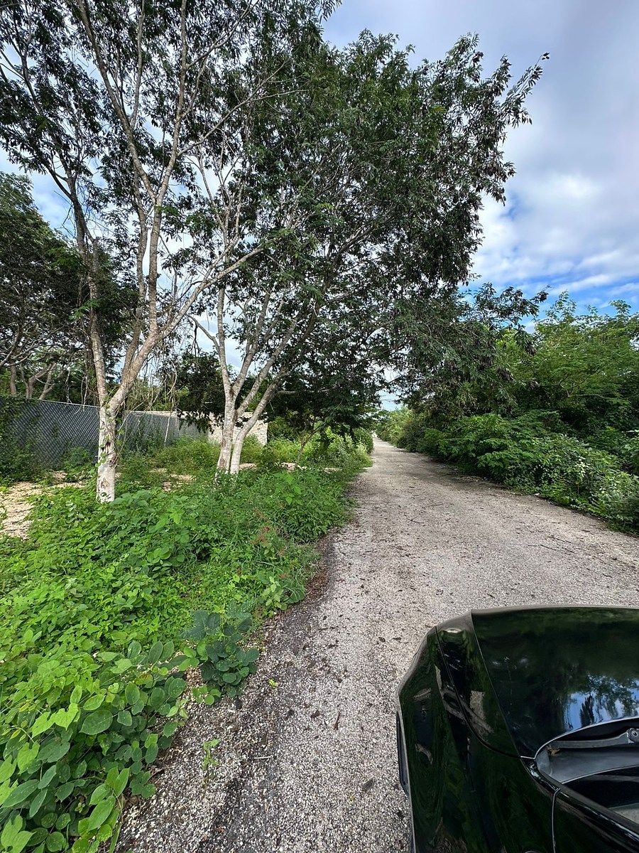 Lote em Temozón Norte, Mérida, foto 11 de 11