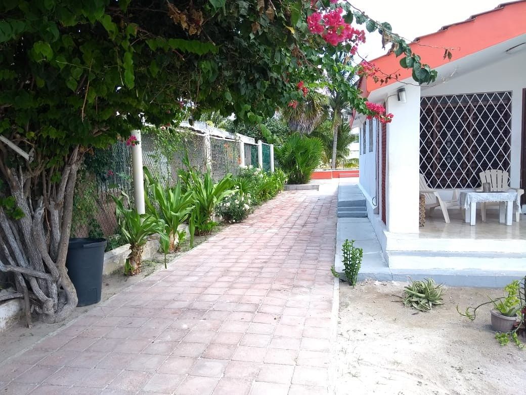 House in Chicxulub Puerto, Progreso, photo 3 of 25