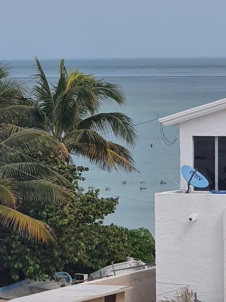 House in Chicxulub Puerto, Progreso, photo 24 of 25