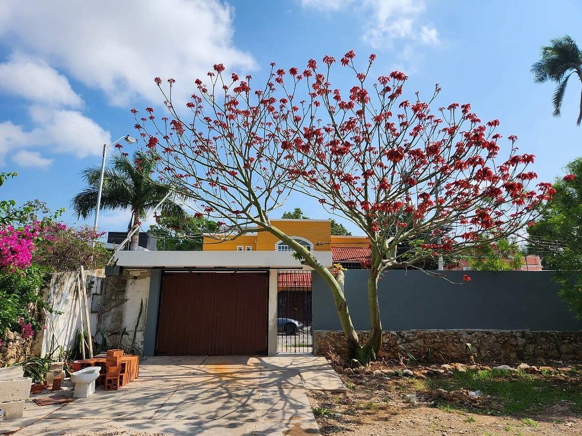 Casa en García Gineres, Mérida, foto 27 de 31