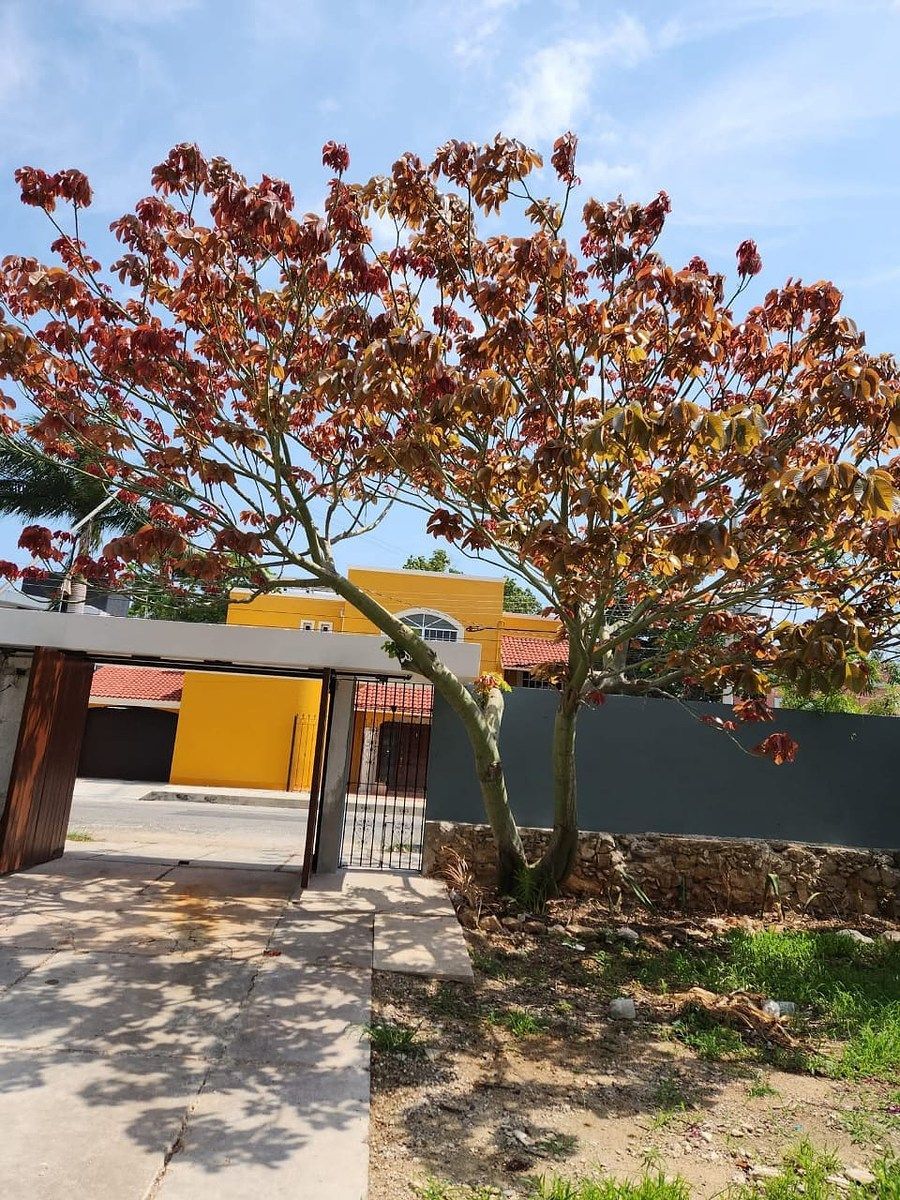 Casa en García Gineres, Mérida, foto 29 de 31