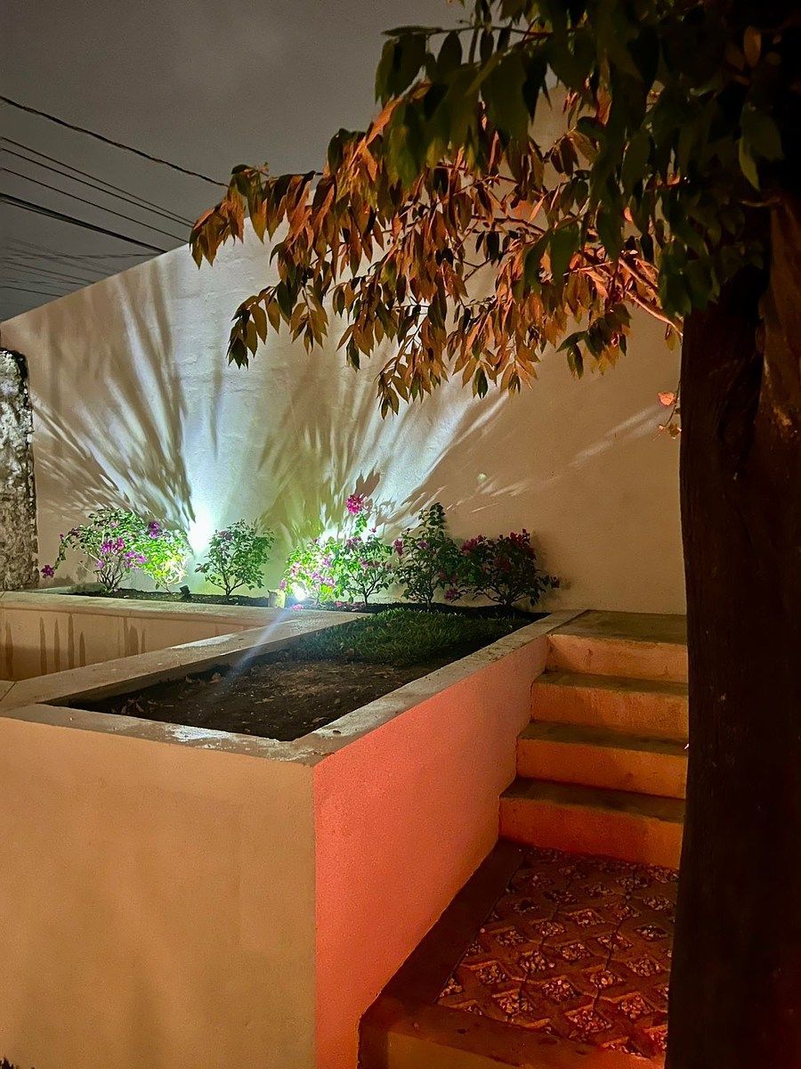 House in Mérida Centro, Mérida, photo 14 of 18