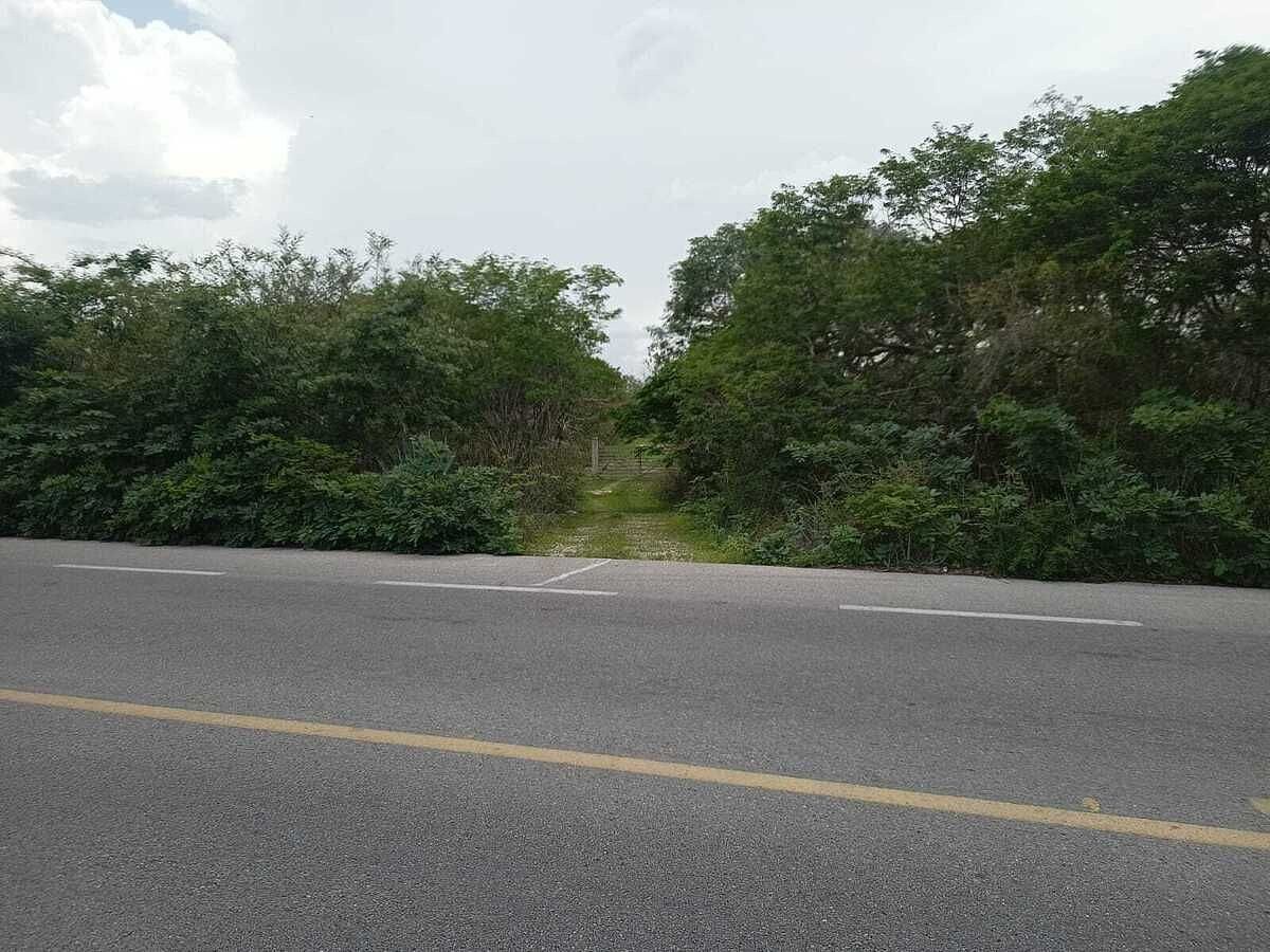 Terreno de 297 Hectáreas carretera  Tetiz - Celestún, foto 1 de 15