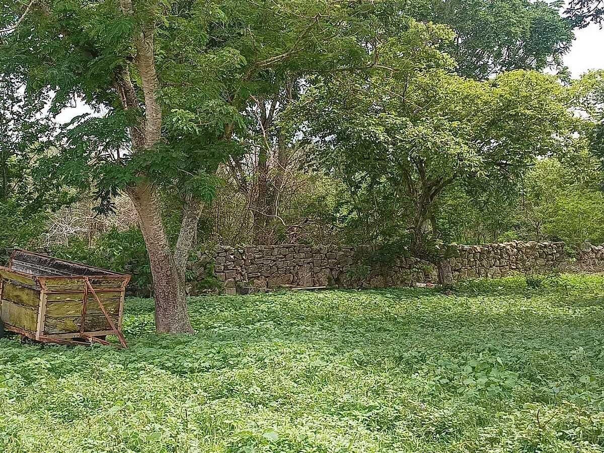 Terreno en Tetiz, Tetiz, foto 3 de 15
