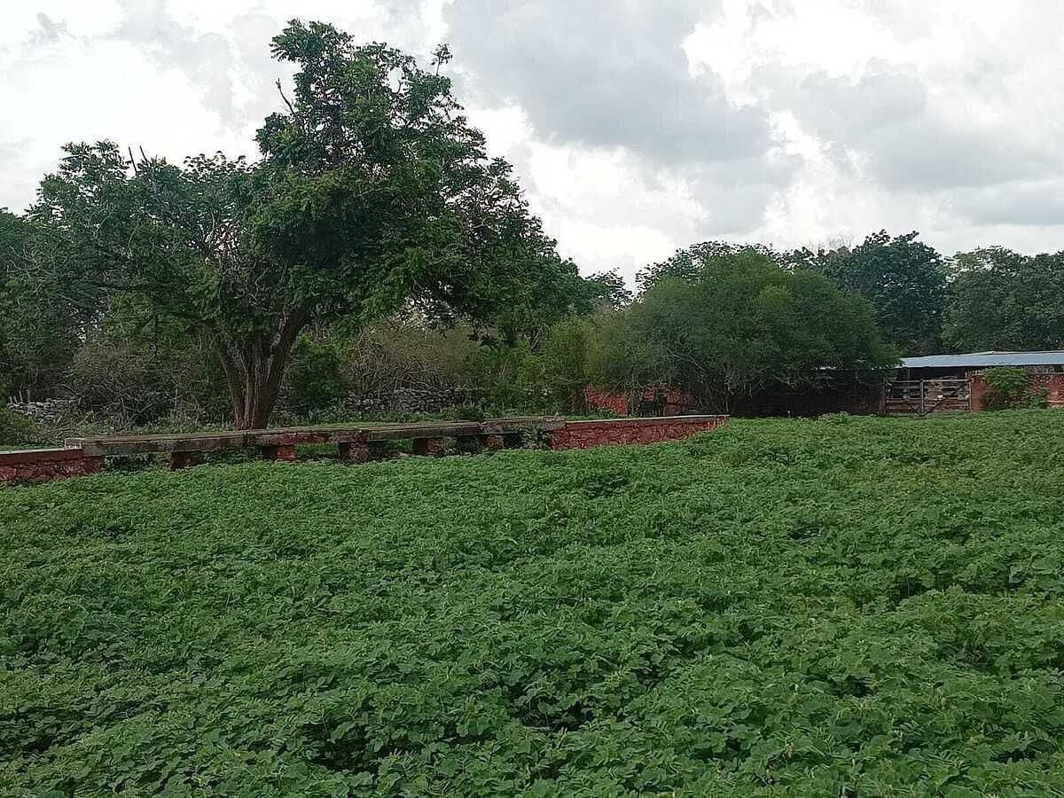 Terreno en Tetiz, Tetiz, foto 6 de 15