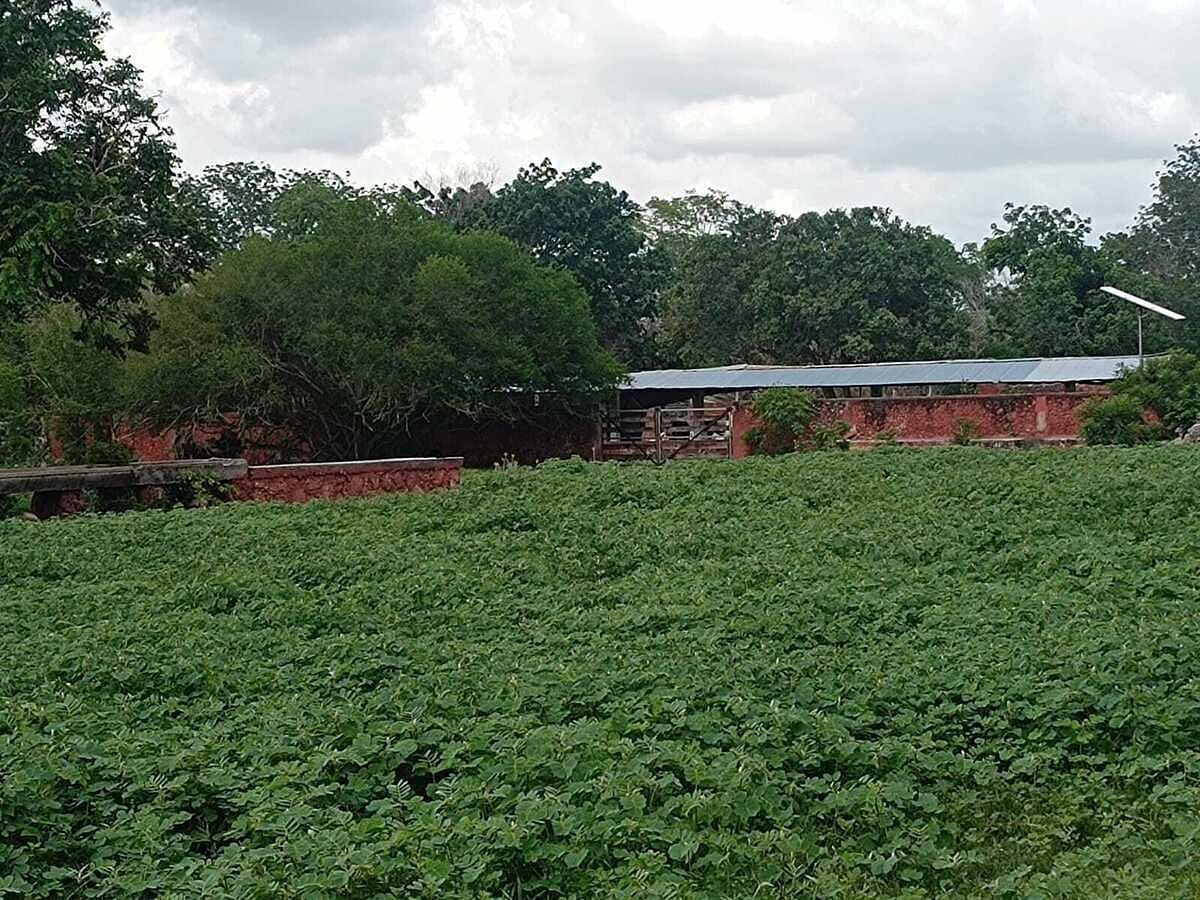 Terreno en Tetiz, Tetiz, foto 7 de 15