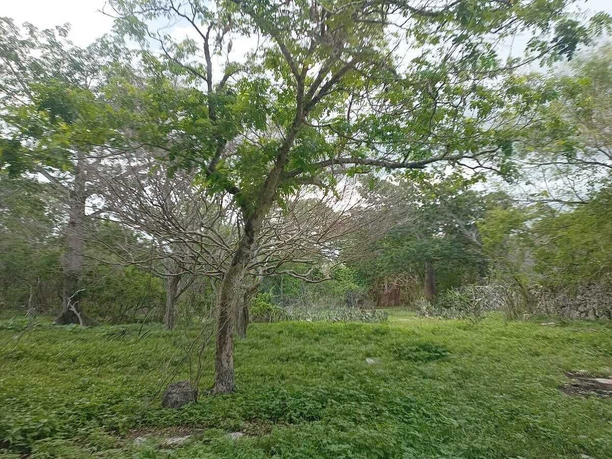 Terreno en Tetiz, Tetiz, foto 10 de 15