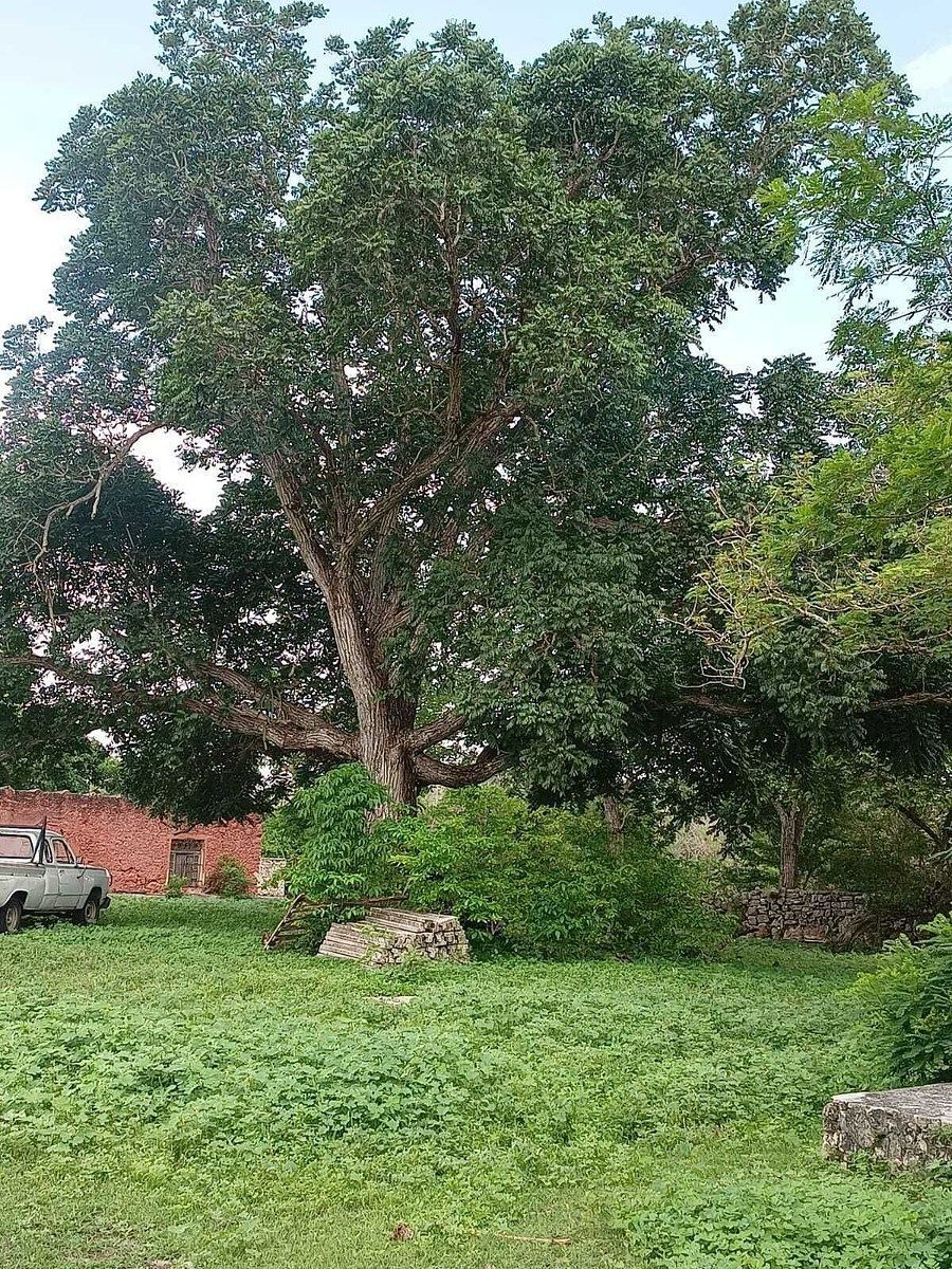 Terreno en Tetiz, Tetiz, foto 14 de 15