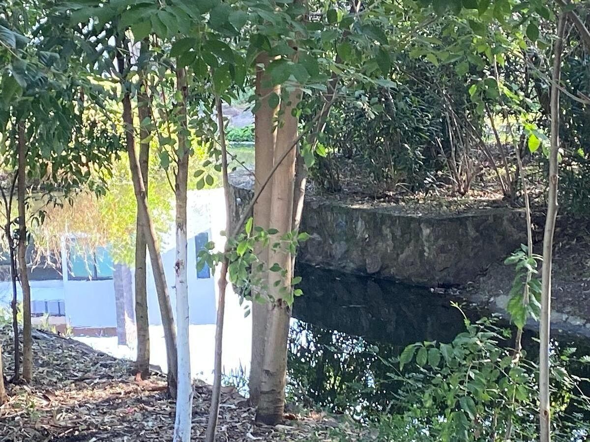 Terreno en Paseo del Parque, Morelia, foto 6 de 9