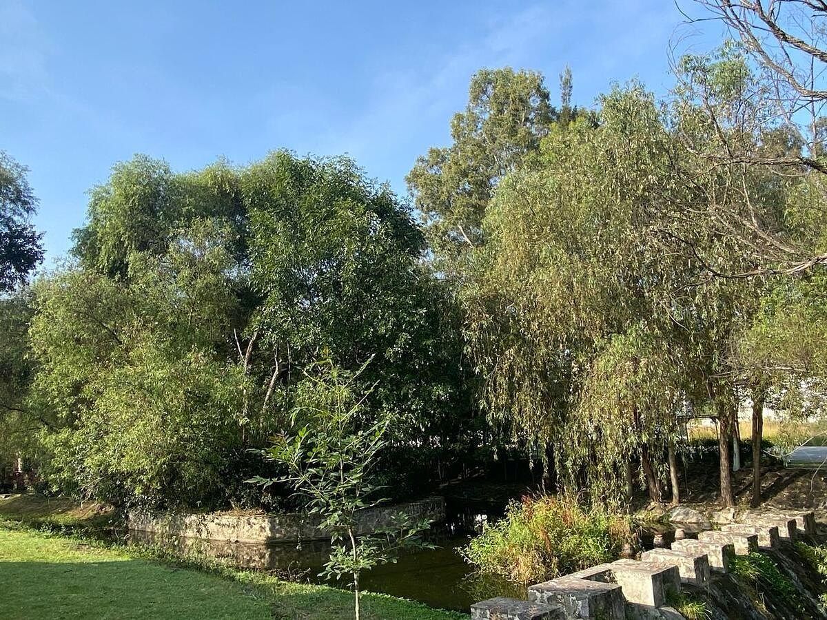 Terreno en Paseo del Parque, Morelia, foto 4 de 9